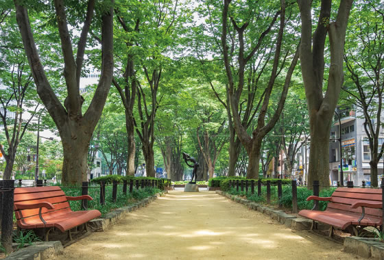 ถนน Jozenji-dori